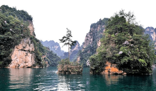 旅游业的gdp比重_中国历年服务业增加值占GDP比重