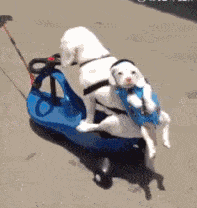 人体|即将冬至|宣络堂:把握冬日最佳减肥时间,快瘦不是梦