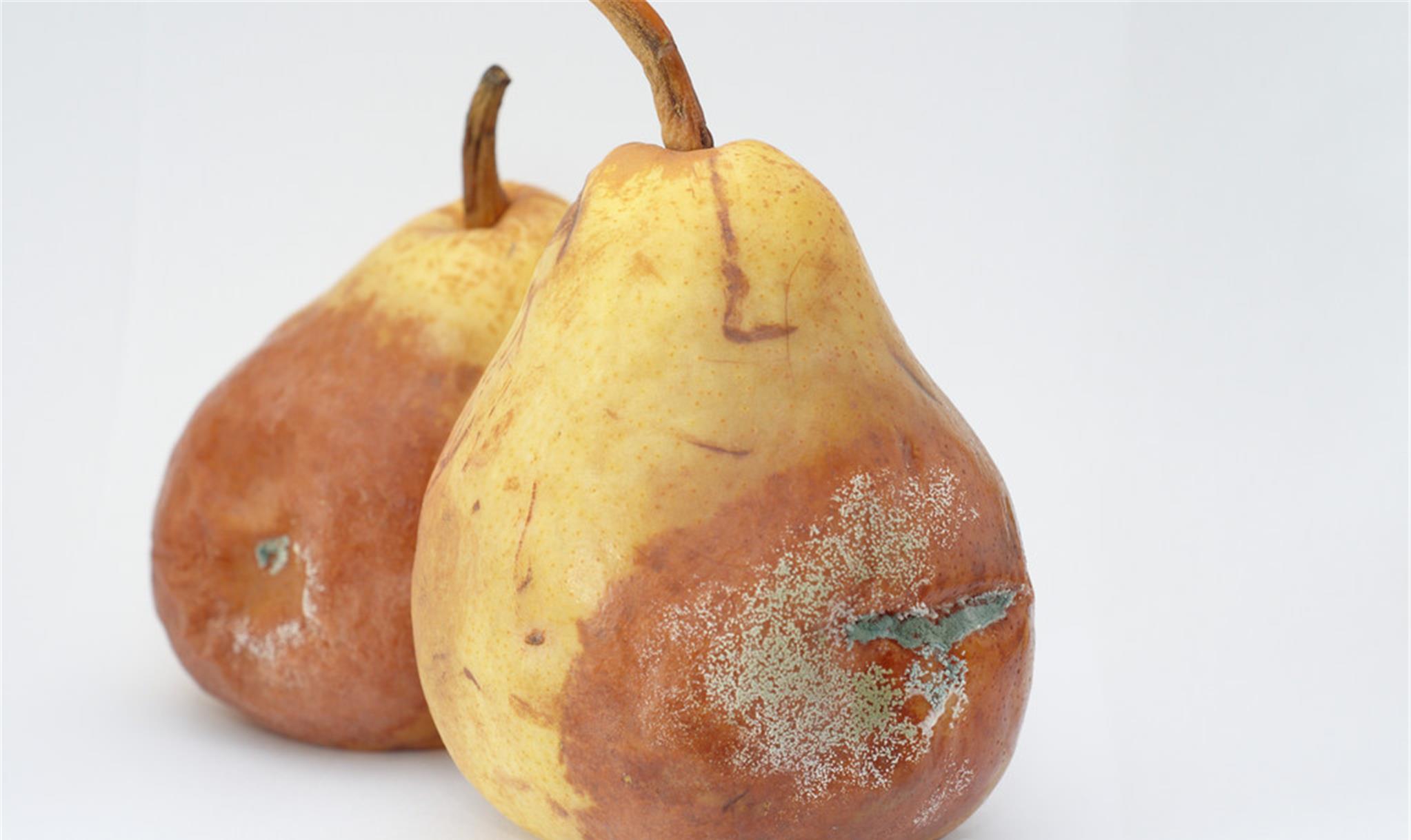 人体|肝不舒服,这3个因素或是关键,请及时避开,多吃它,肝或感激你