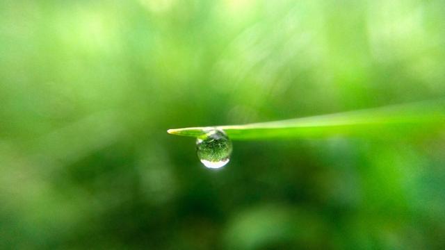 如何活得通透一些 722f26edcc9542b8a34056bb853ea9b8.jpeg