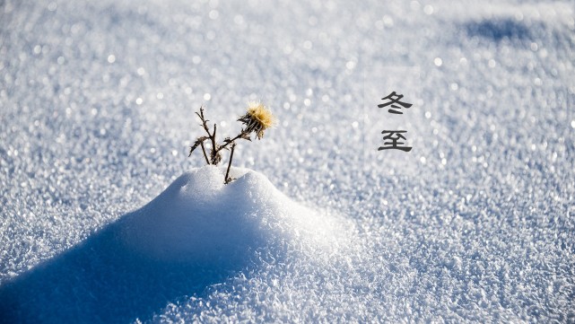 纱裙 快乐精灵|孩子们古灵精怪的冬至穿搭，用活泼的色彩，驱散冬天的平淡