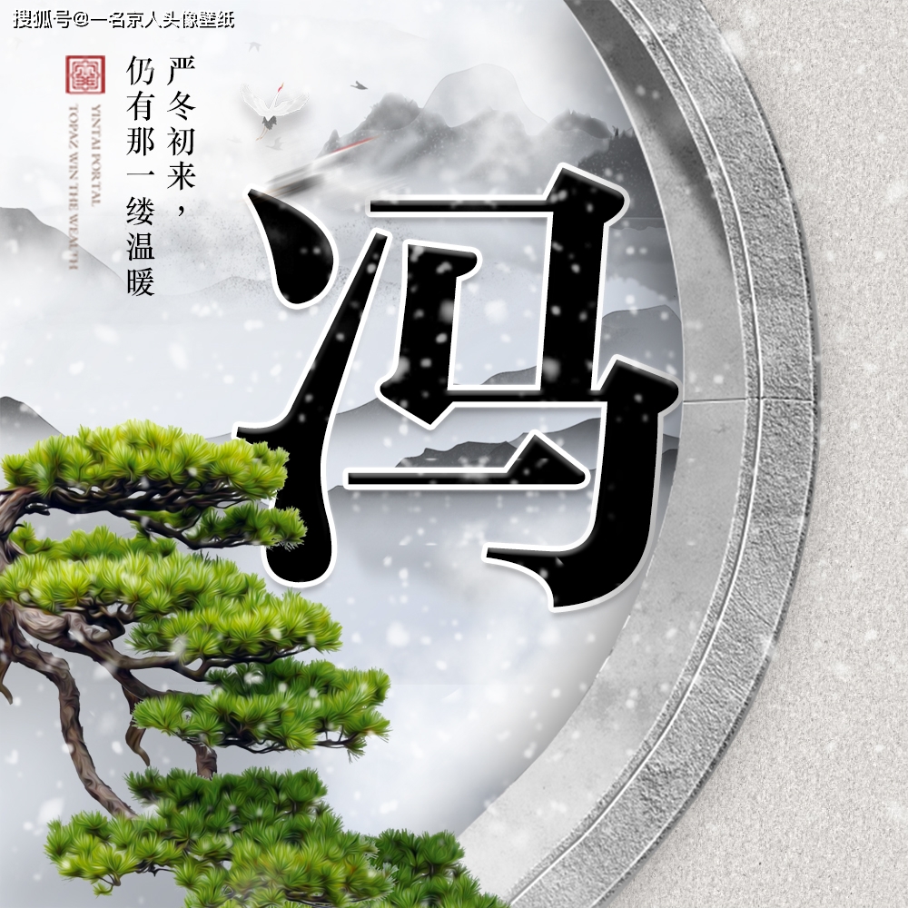 唯美大气中国风,22张寒冬白雪姓氏头像,山水之间刻下你的印记_生活