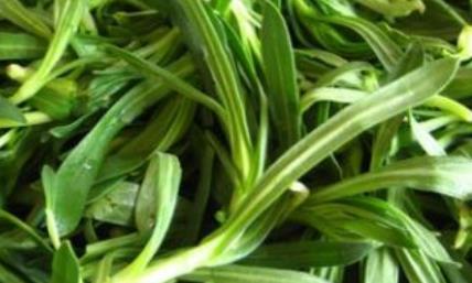 适合宝宝吃的面条菜 55a10480bb7a4929ad3c8dddc46b6998.jpeg