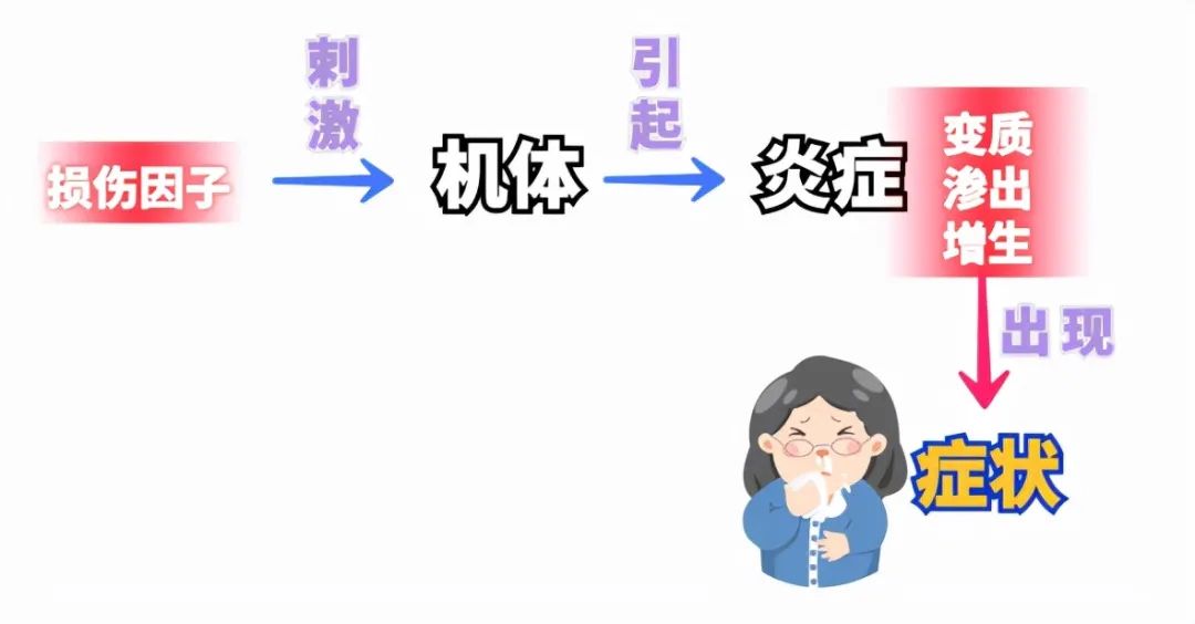 病毒|走进鼻子系列——治疗鼻炎之前策