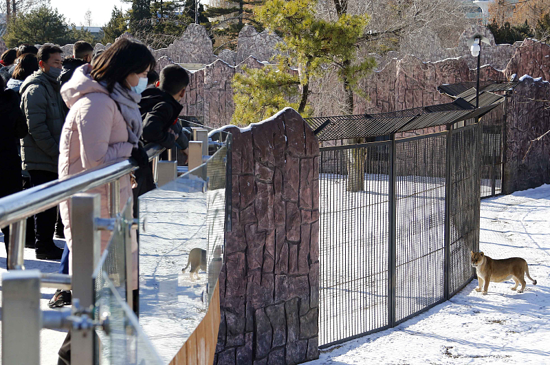 原创朝鲜动物园以前有中国赠的大熊猫华南虎扬子鳄