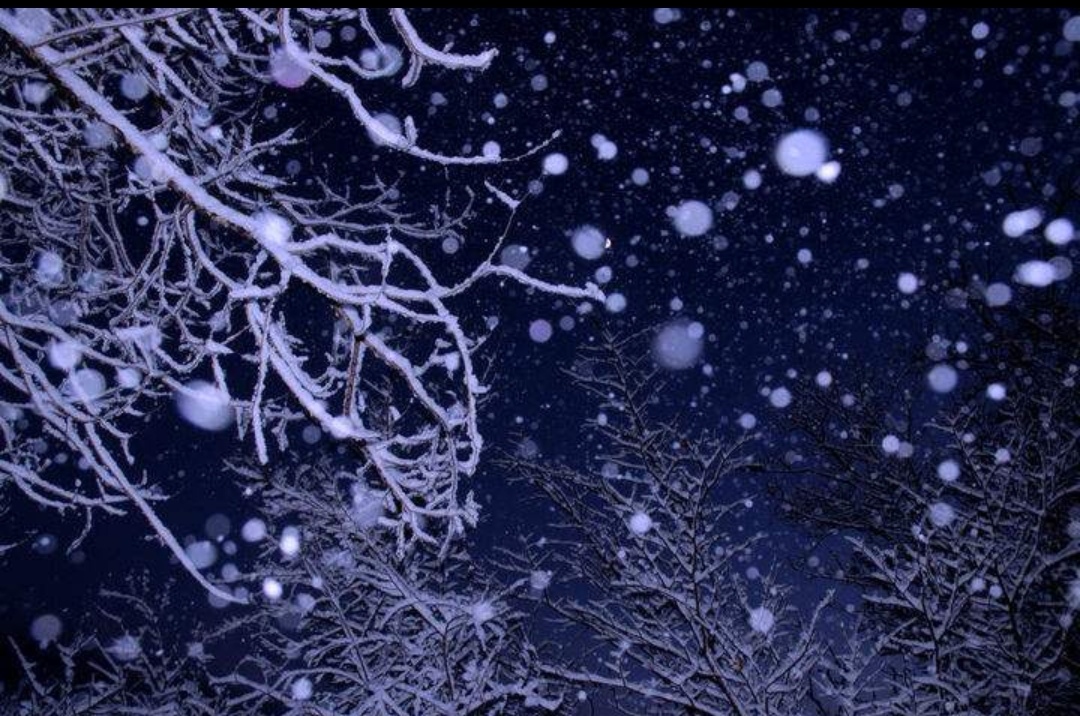 《冬日飞雪》_冰风_梅林_半山