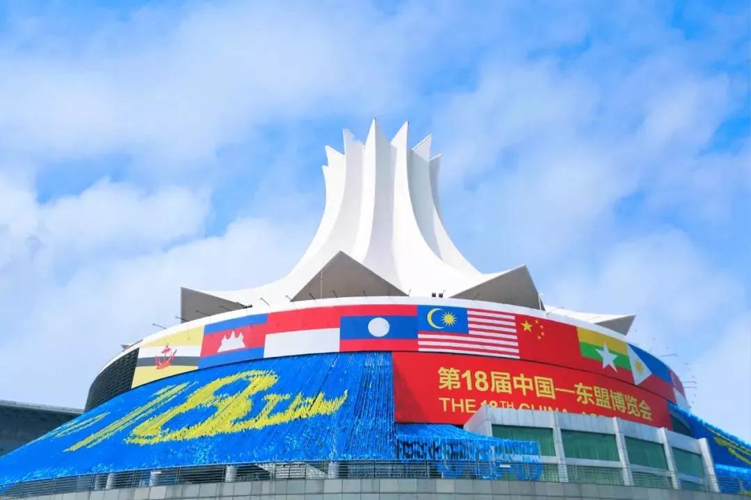 你一定没有见过这样的朱槿花_国际会展中心_博览会_南宁