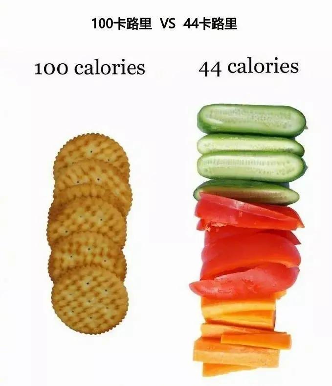 午餐|魔膳未来|吃的少还不瘦?吃得少还发胖?原因找到了!