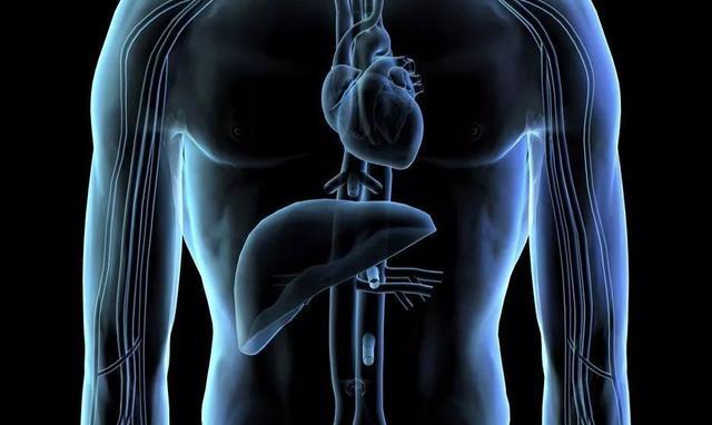 进行|肝脏遇到麻烦，起床后身体会有四个“暗示”，若没有，肝脏还不错