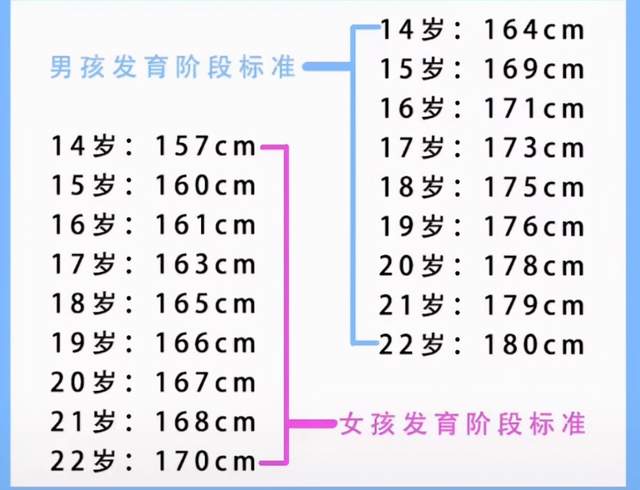 女生标准肩宽对照表 图片搜索