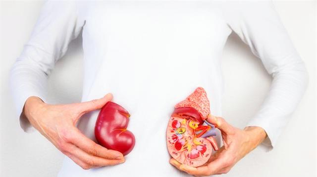 肾脏|高血压常与肾病“狼狈为奸”，如何预防高血压和肾病才会有效？