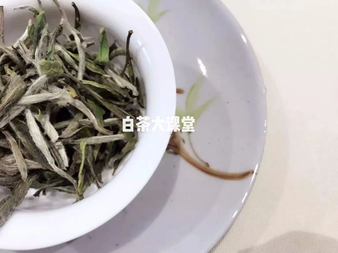 密封|北方干燥，存白茶不用担心变质？这位新疆茶客的前车之鉴值得一看