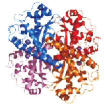 9c9c93da086842d9a06638603cb04f36.png
