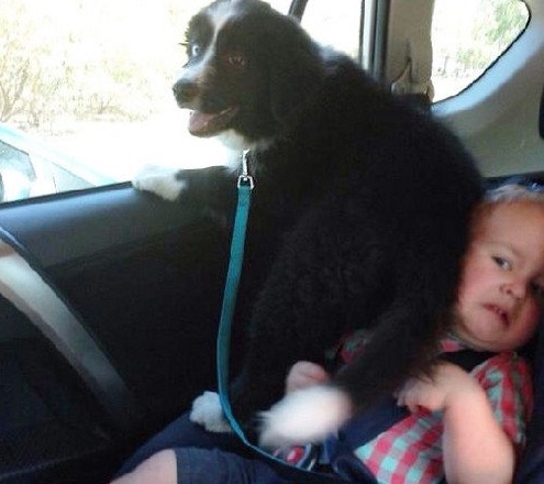 什么叫做空间尺度 09247d7f21b84bbf83d17c1243c713f0.jpeg