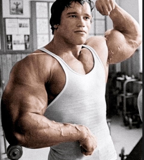 肌肉男敢跟nba球星合影 真的是勇气可嘉,至今没有一个赢过_身材