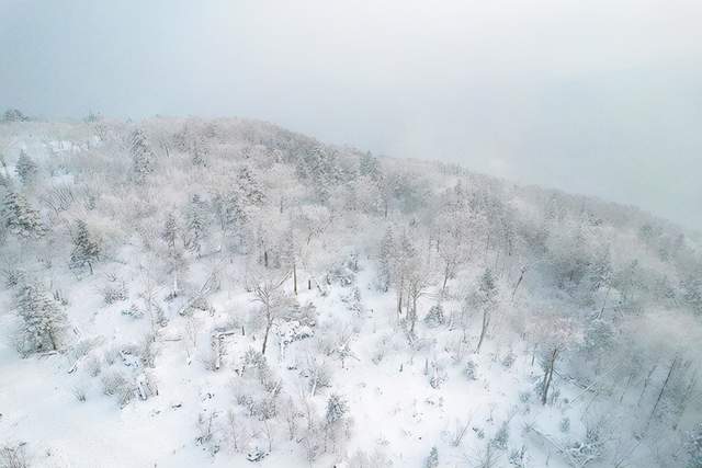 滑雪|冬季东北航拍，吉林北大湖滑雪度假区，冰天雪地梦幻得不敢相信