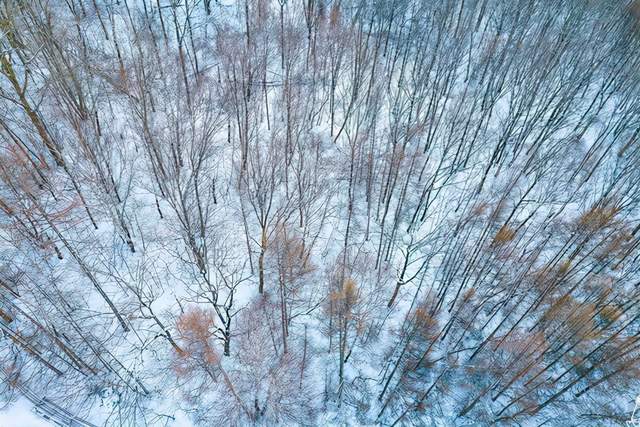 滑雪|冬季东北航拍，吉林北大湖滑雪度假区，冰天雪地梦幻得不敢相信