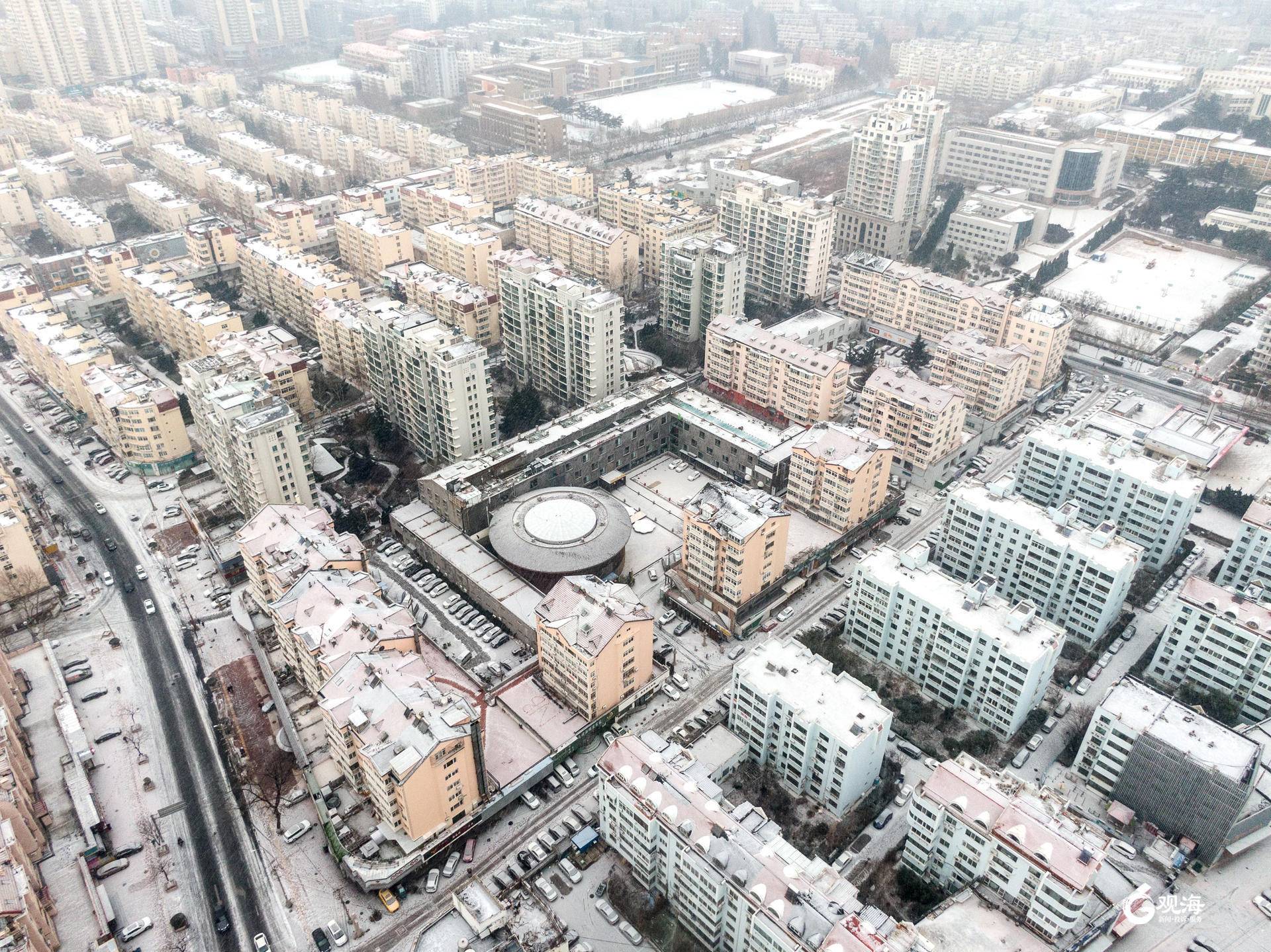 雪景|雪后青岛：雪中景、雪中忙、雪中情、雪中乐……集全了