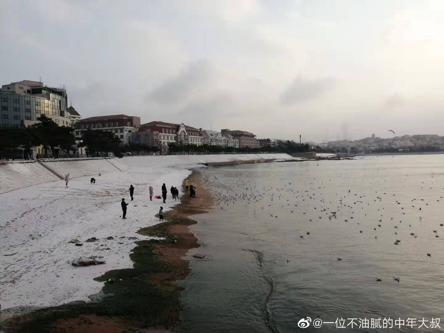 黄岛|撒盐空中差可拟｜2021青岛初雪，快来欣赏各区雪景～