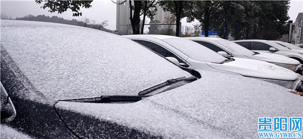 市民|初雪来了！贵阳真的真的真的下雪了