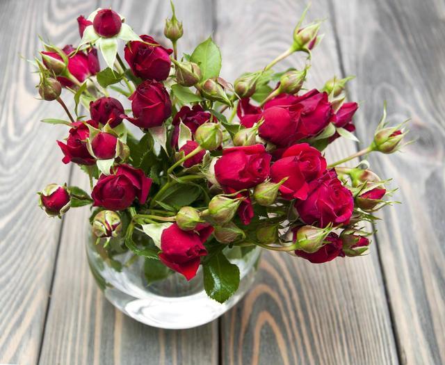 在12月内,这四大星座难舍旧爱,冰释前嫌,兜兜转转还