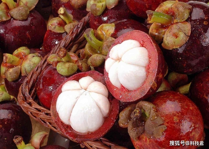 宝宝吃什么水果长肉 9cd931046f574c2b96d0d3129258412f.jpeg
