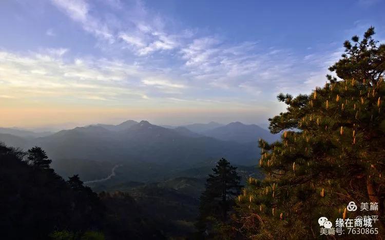 成语淮什么山_木淮是什么蛙(5)