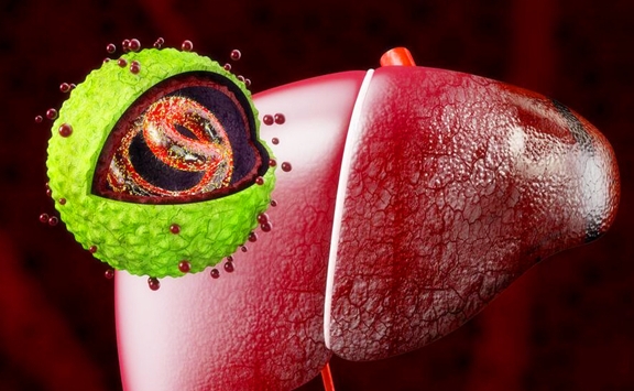 免疫力|乙肝病毒携带者可以活多长时间？你的理解真的对吗？看专家的理解