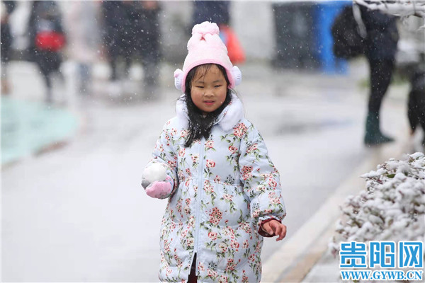 中雪|【图集】贵阳观山湖公园银装素裹惹人醉