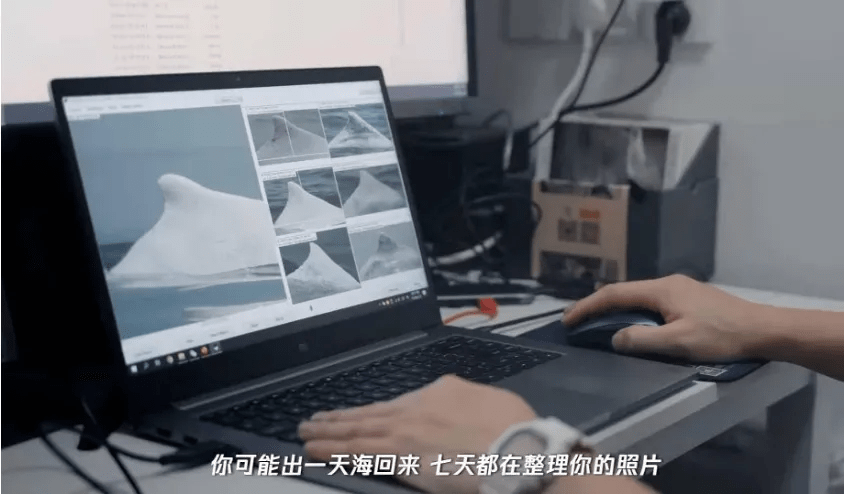 技术|从千行百业到千家万户，腾讯拿自己的AI能力探出了一条新路