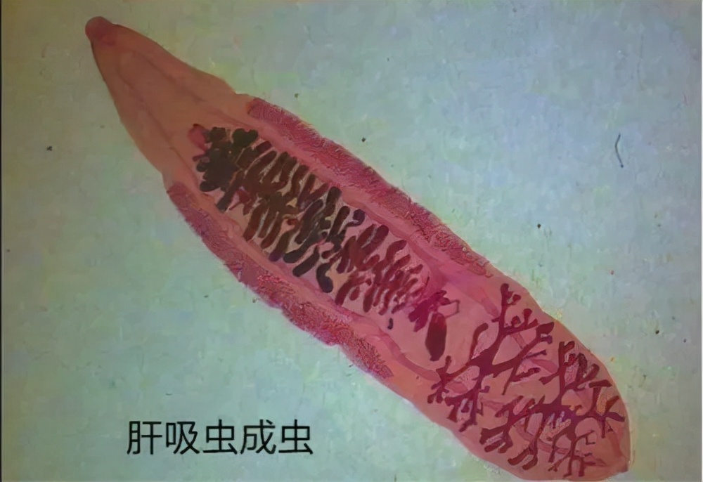 efb0546e1ee248768659db7c43b049f3.jpeg