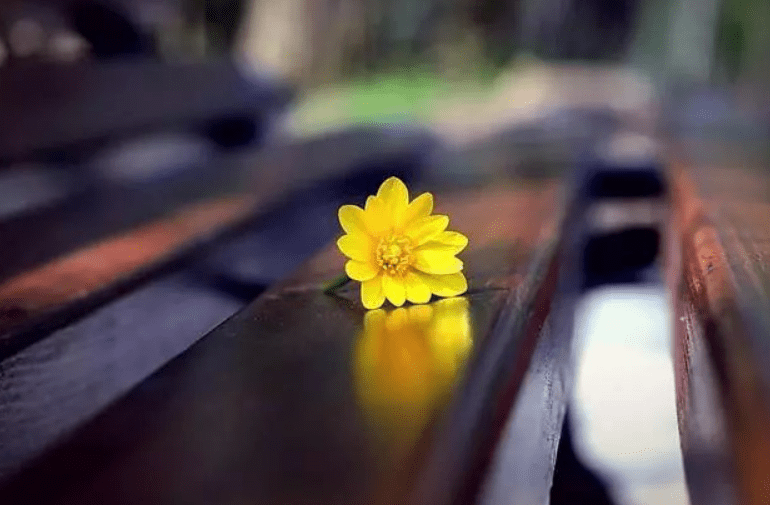 468a3613b1284f55bc8b71372f919fcb.png