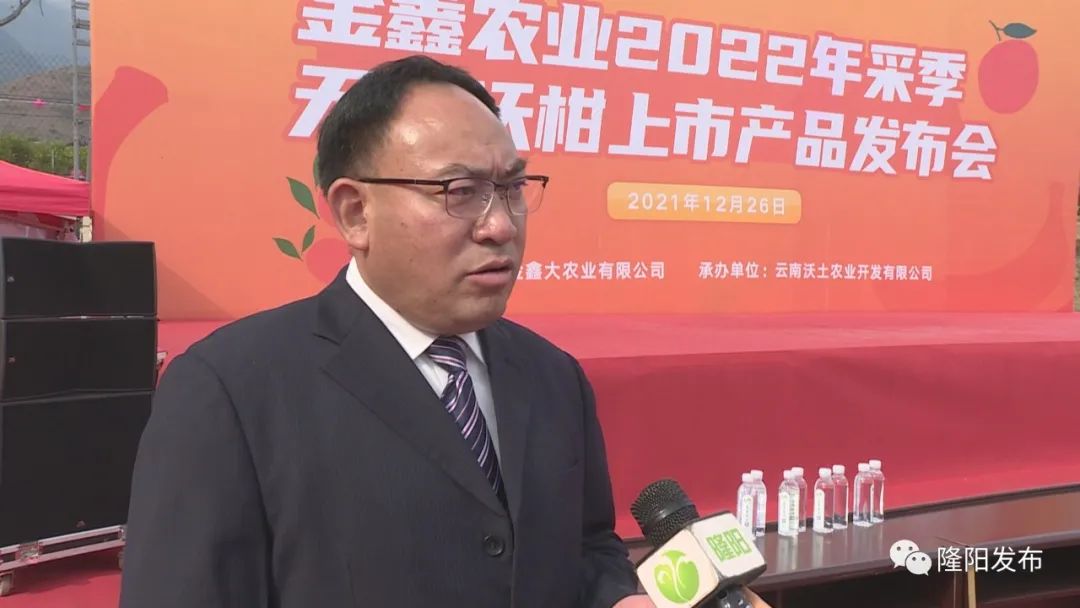 云南金鑫大农业有限公司 董事长 何元树无核沃柑现在在全国的种植面积