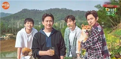 生活|“城乡”综艺也要两开花？