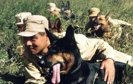 猫咪|《当家主母》疑毒死真猫,画面太真实引争议,剧组澄清毫无说服力