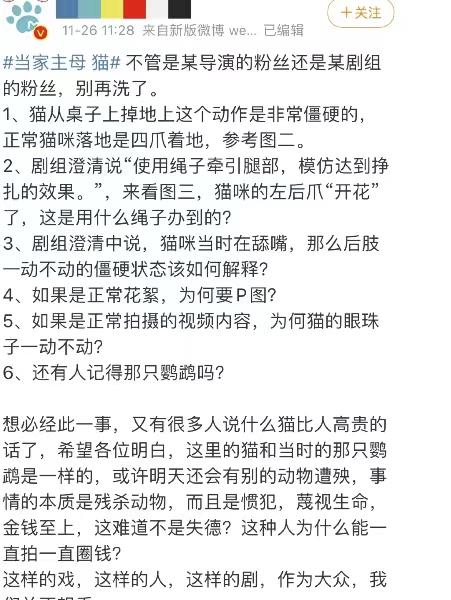 猫咪|《当家主母》被质疑假戏真做，为拍戏毒杀真猫，官方回应漏洞百出