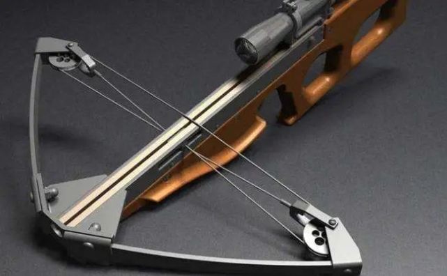 自称完成"复仇计划"_柴尔_大屠杀_十字弓