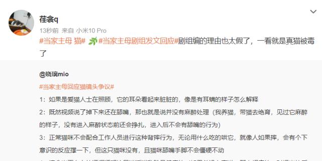 白猫|《当家主母》小白猫惨死，剧组发声明回应，网友为何却不认同？