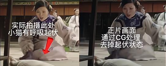 白猫|《当家主母》小白猫惨死，剧组发声明回应，网友为何却不认同？