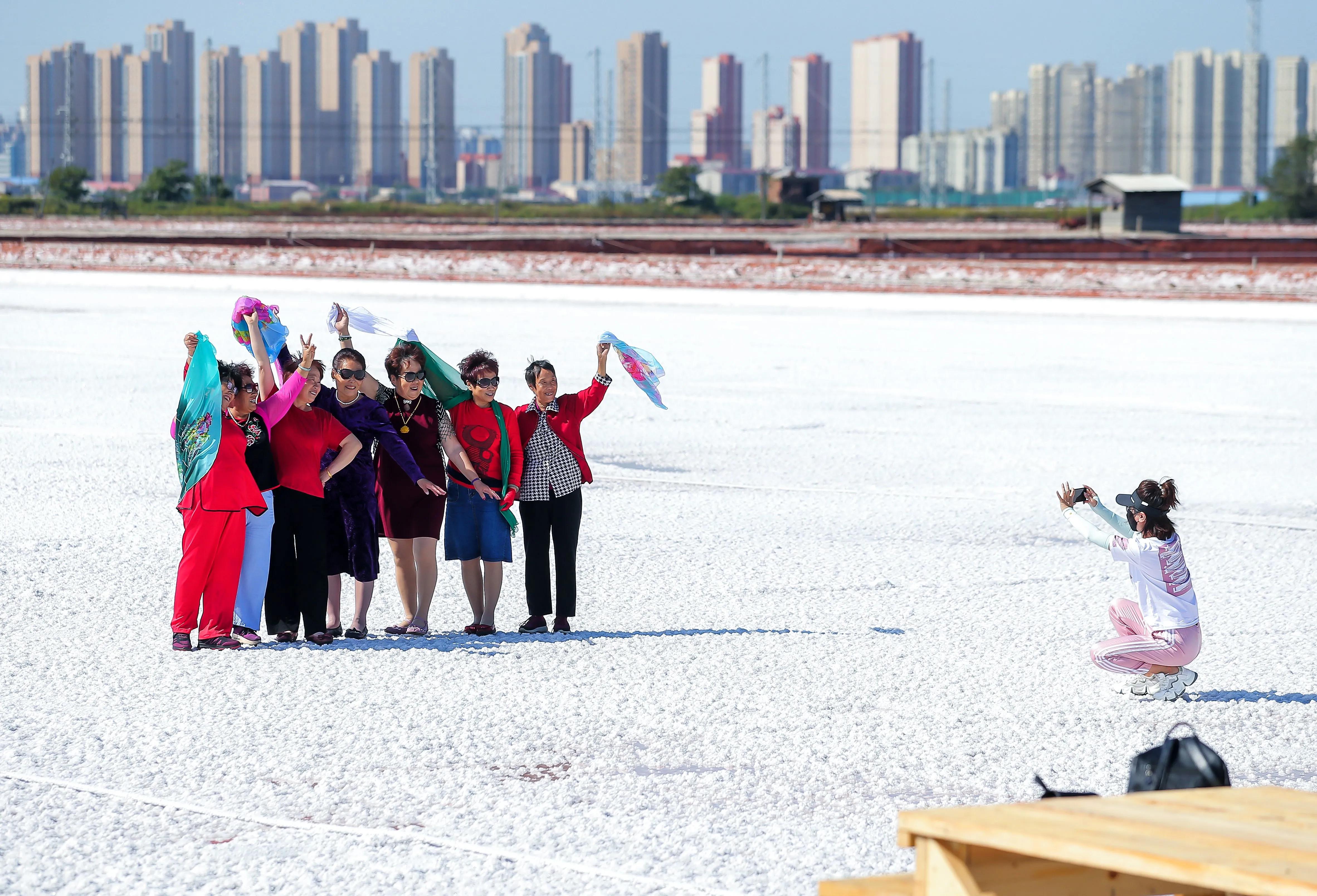 海洋博物馆|天津这个区首届冰雪旅游季来啦！这么多活动，快收好菜单→