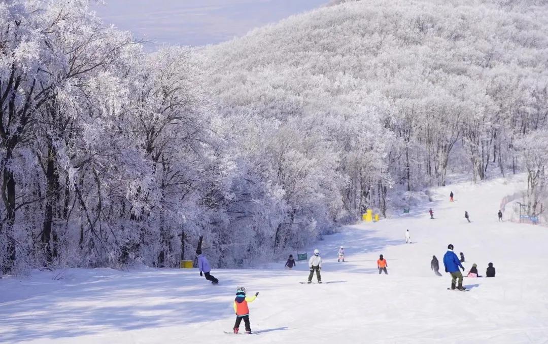 滑雪|两地上榜，晋升国家级滑雪旅游度假地