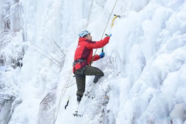 登山者抉择：对人性的信赖