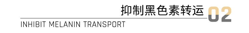 雀斑《水初语莹莹护肤课堂》“老师，斑点一直不消怎么办？”