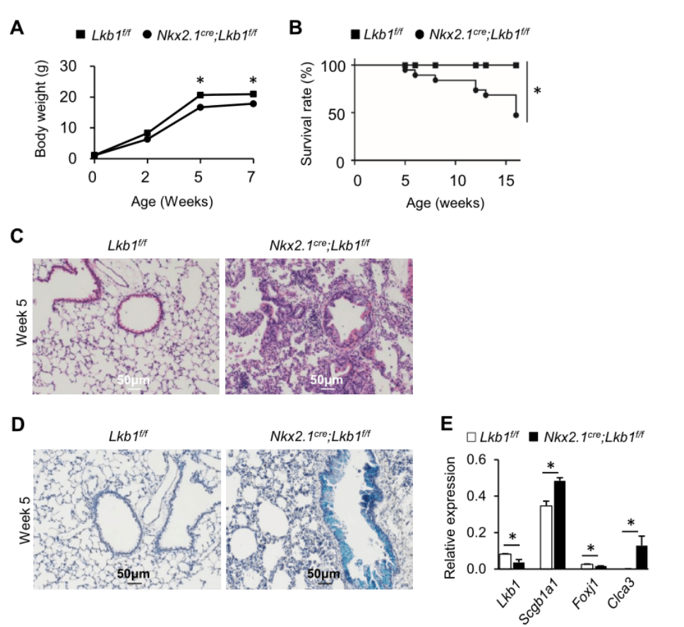 欧易单细胞测序技术助力解析气道gobletcell化生新机制
