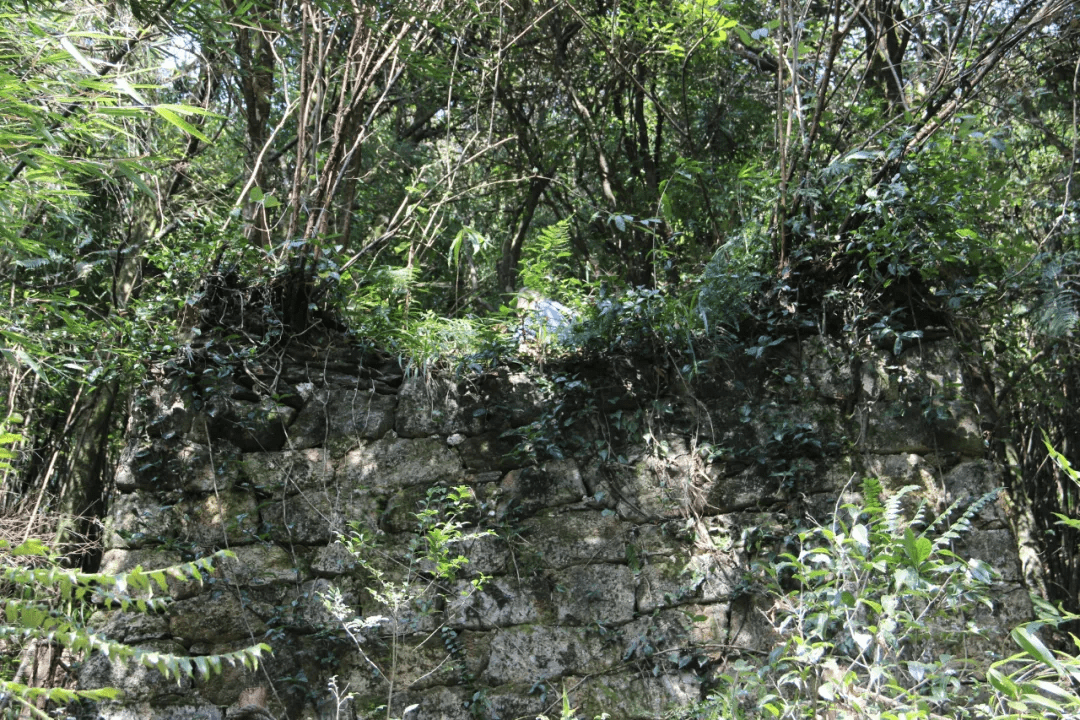 遗址|【国家AA级景区】腾冲芒棒高黎贡山古道公园景区