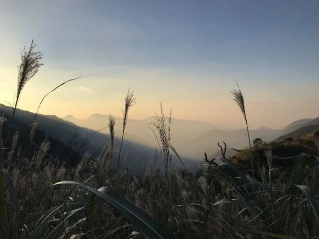 06d7931848d842bf8047906e2aa3598d.jpeg