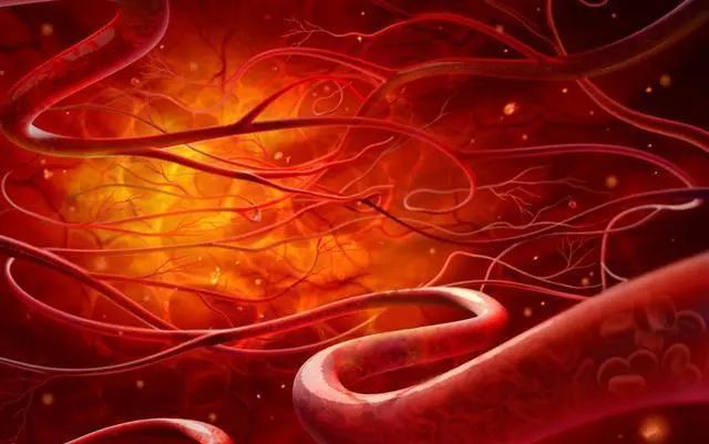 包子|早餐有3大忌,不仅浪费还伤身,希望你没有