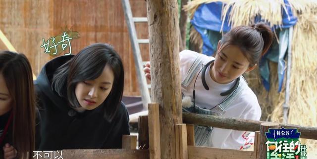 生活|《向往的生活》粉丝不要慌，像第七期这样的逆天阵容后面还有一次