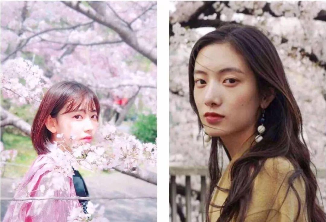 主体同样的春日与花合影，为什么刘亦菲是仙子而杨幂是网红？