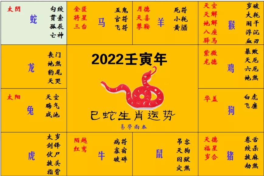 2022正版生肖排码表图图片